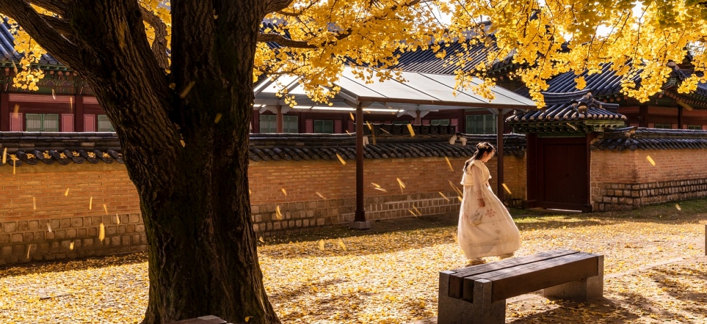 Gyeongbokgung Automne