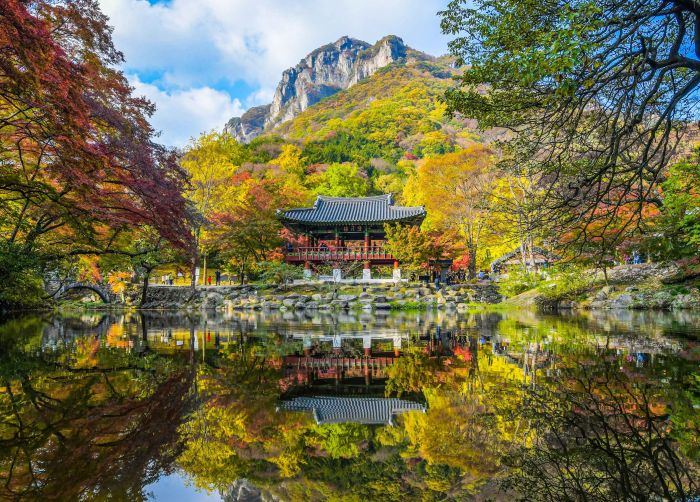 Guide Corée Voyage Corée Circuit Organisé Corée Visite Jangseong Temple Baekyangsa