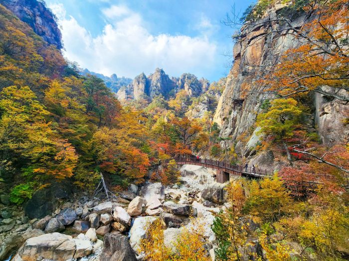 Guide Corée Voyage Corée Budget Corée Séoul Visite Seoraksan vallée jujeongol