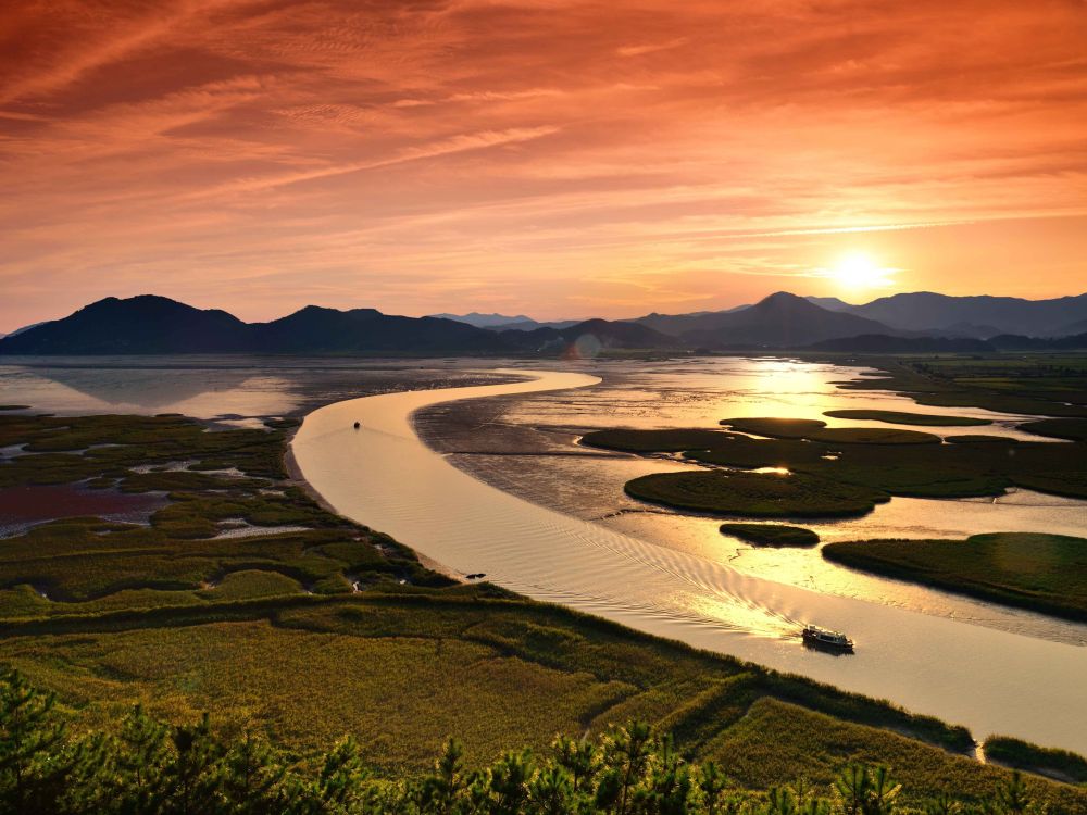 Guide Corée Voyage Corée Circuit Organisé Corée Visite Suncheon Baie de Suncheon Parc Naturel de Suncheon