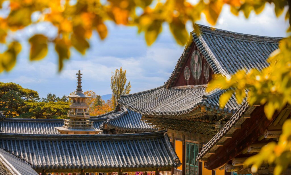 Guide Corée Culture Corée Voyage Corée Budget Corée Séoul Visite Séoul Corée du sud Agence de voyage Corée Visiter la Corée du Sud Circuit Voyage corée Voyage professionnel Corée Voyage Linguistique Corée BILLET AVION Corée