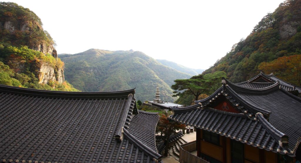 Guide Corée Culture Corée Voyage Corée Budget Corée Séoul Visite Séoul Corée du sud Agence de voyage Corée Visiter la Corée du Sud Circuit Voyage corée Voyage professionnel Corée Voyage Linguistique Corée BILLET AVION Corée